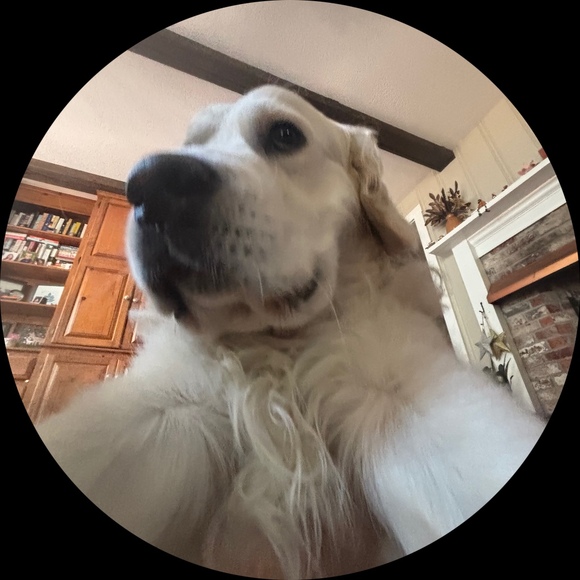 ann_loves_dogs